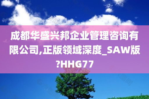 成都华盛兴邦企业管理咨询有限公司,正版领域深度_SAW版?HHG77