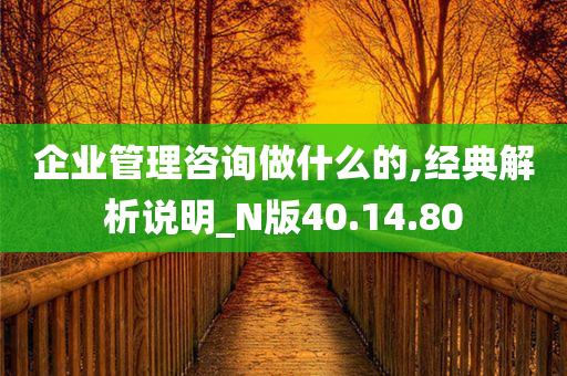 企业管理咨询做什么的,经典解析说明_N版40.14.80