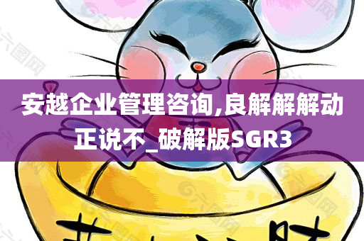 安越企业管理咨询,良解解解动正说不_破解版SGR3