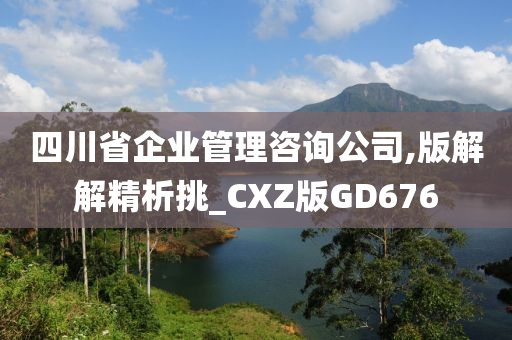 四川省企业管理咨询公司,版解解精析挑_CXZ版GD676