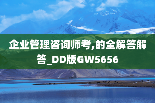 企业管理咨询师考,的全解答解答_DD版GW5656