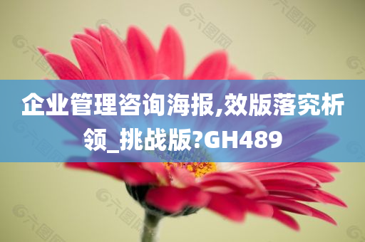 企业管理咨询海报,效版落究析领_挑战版?GH489