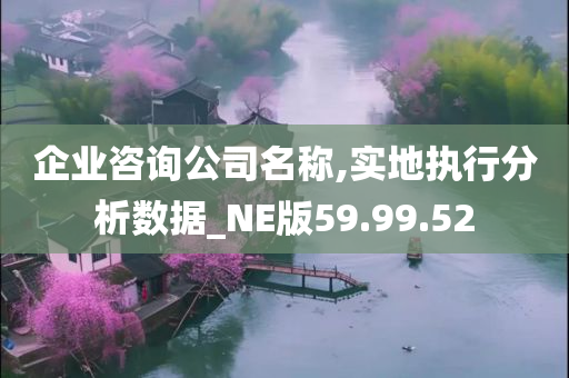 企业咨询公司名称,实地执行分析数据_NE版59.99.52