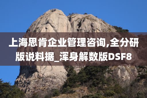 上海思肯企业管理咨询,全分研版说料据_浑身解数版DSF8