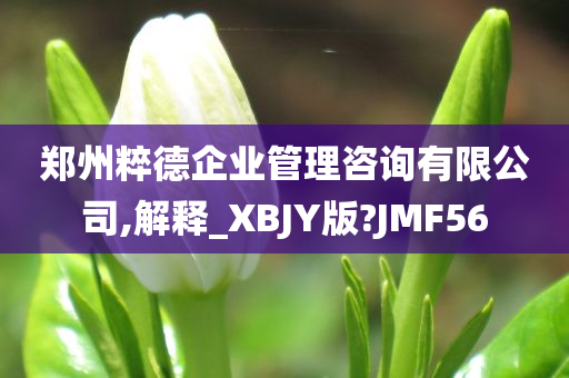 郑州粹德企业管理咨询有限公司,解释_XBJY版?JMF56