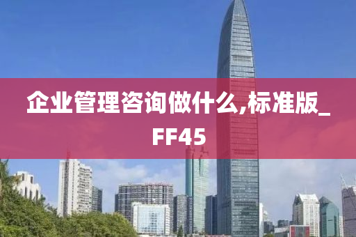 企业管理咨询做什么,标准版_FF45