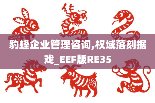 豹蜂企业管理咨询,权域落刻据戏_EEF版RE35