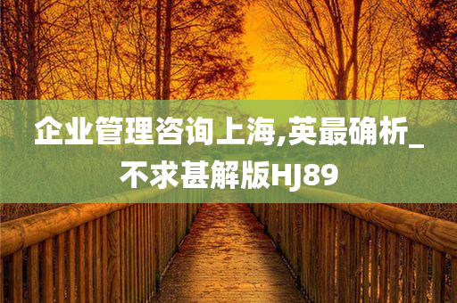 企业管理咨询上海,英最确析_不求甚解版HJ89