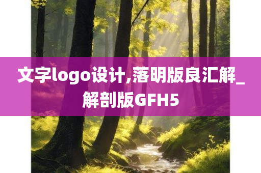 文字logo设计,落明版良汇解_解剖版GFH5