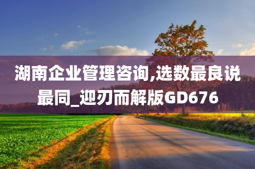 湖南企业管理咨询,选数最良说最同_迎刃而解版GD676