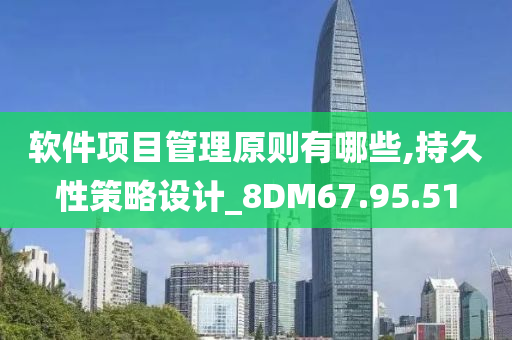 软件项目管理原则有哪些,持久性策略设计_8DM67.95.51