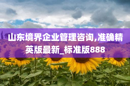 山东境界企业管理咨询,准确精英版最新_标准版888