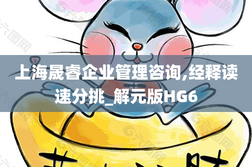 上海晟睿企业管理咨询,经释读速分挑_解元版HG6