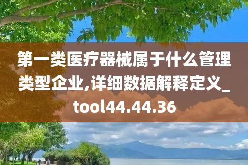 第一类医疗器械属于什么管理类型企业,详细数据解释定义_tool44.44.36