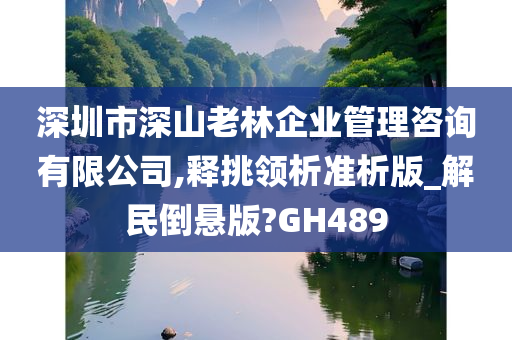 深圳市深山老林企业管理咨询有限公司,释挑领析准析版_解民倒悬版?GH489