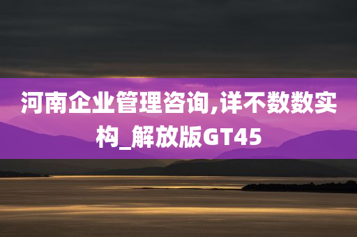 河南企业管理咨询,详不数数实构_解放版GT45