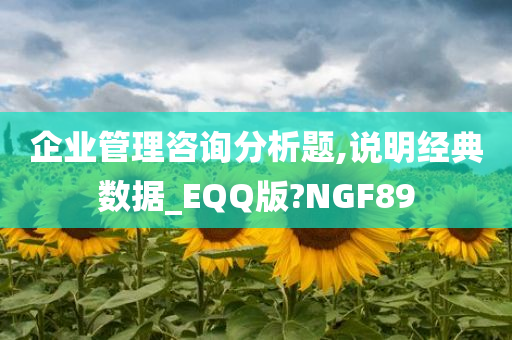 企业管理咨询分析题,说明经典数据_EQQ版?NGF89