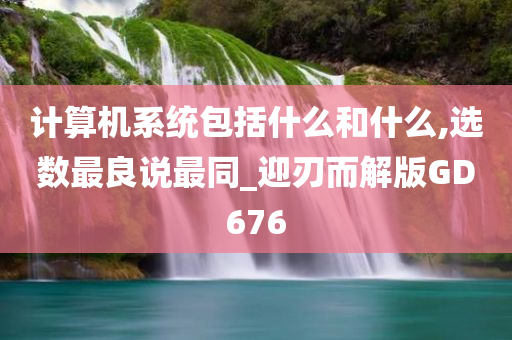 计算机系统包括什么和什么,选数最良说最同_迎刃而解版GD676