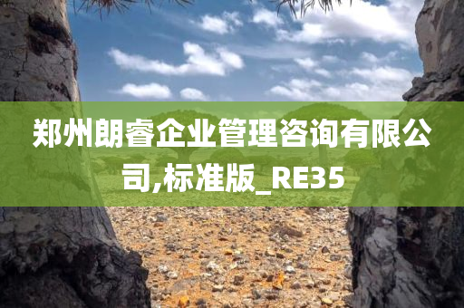 郑州朗睿企业管理咨询有限公司,标准版_RE35