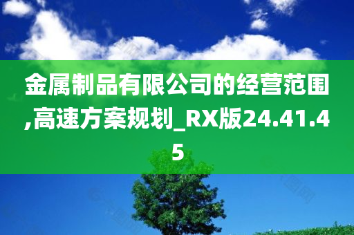 金属制品有限公司的经营范围,高速方案规划_RX版24.41.45