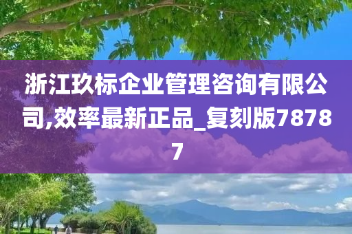 浙江玖标企业管理咨询有限公司,效率最新正品_复刻版78787