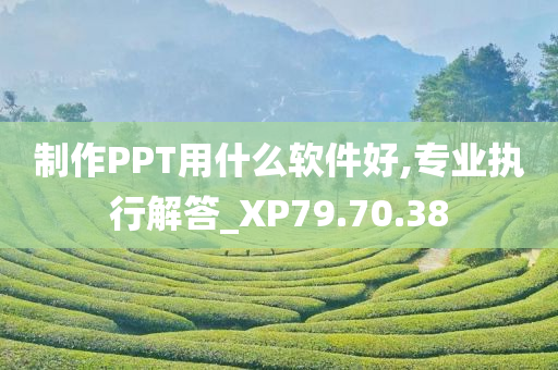 制作PPT用什么软件好,专业执行解答_XP79.70.38