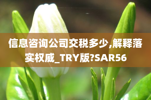 信息咨询公司交税多少,解释落实权威_TRY版?SAR56