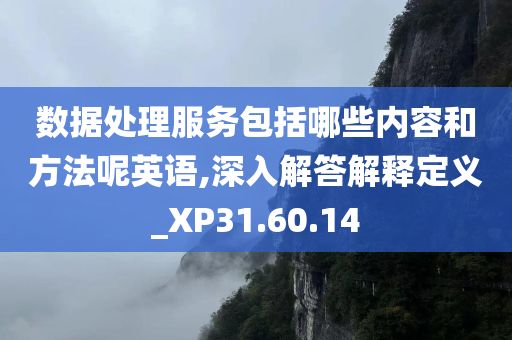 数据处理服务包括哪些内容和方法呢英语,深入解答解释定义_XP31.60.14