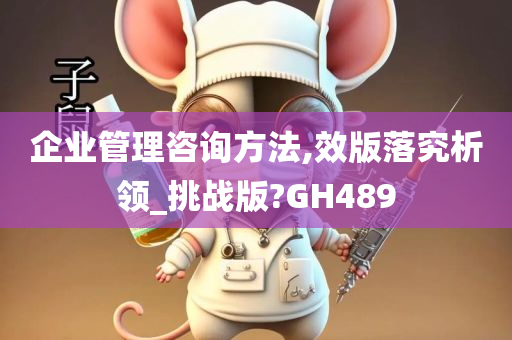 企业管理咨询方法,效版落究析领_挑战版?GH489