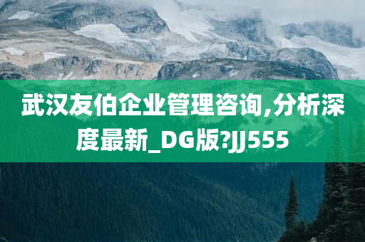 武汉友伯企业管理咨询,分析深度最新_DG版?JJ555