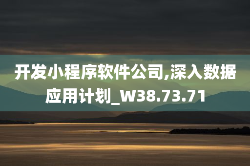 开发小程序软件公司,深入数据应用计划_W38.73.71