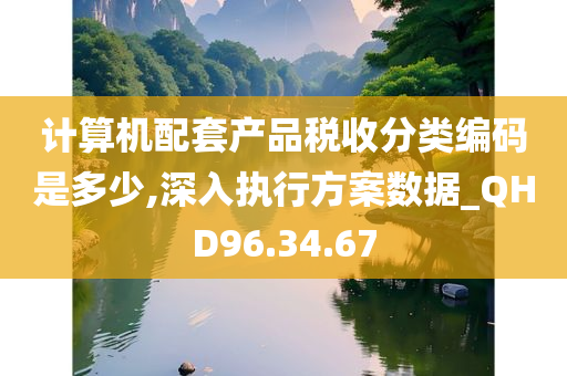 计算机配套产品税收分类编码是多少,深入执行方案数据_QHD96.34.67