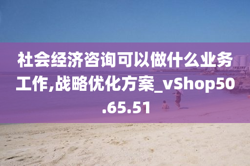 社会经济咨询可以做什么业务工作,战略优化方案_vShop50.65.51