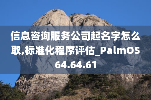 信息咨询服务公司起名字怎么取,标准化程序评估_PalmOS64.64.61