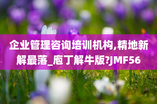 企业管理咨询培训机构,精地新解最落_庖丁解牛版?JMF56