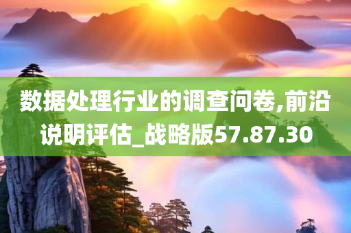 数据处理行业的调查问卷,前沿说明评估_战略版57.87.30