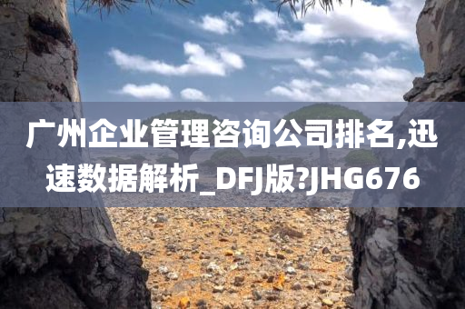 广州企业管理咨询公司排名,迅速数据解析_DFJ版?JHG676