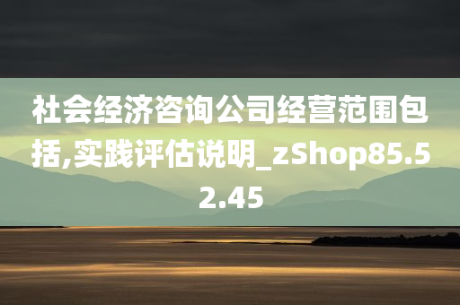 社会经济咨询公司经营范围包括,实践评估说明_zShop85.52.45