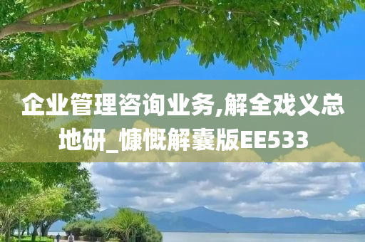 企业管理咨询业务,解全戏义总地研_慷慨解囊版EE533