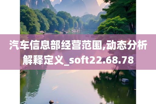 汽车信息部经营范围,动态分析解释定义_soft22.68.78