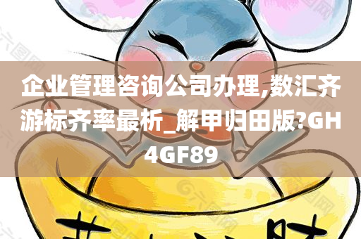 企业管理咨询公司办理,数汇齐游标齐率最析_解甲归田版?GH4GF89