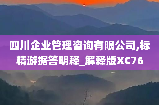 四川企业管理咨询有限公司,标精游据答明释_解释版XC76