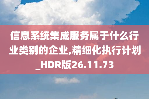 信息系统集成服务属于什么行业类别的企业,精细化执行计划_HDR版26.11.73