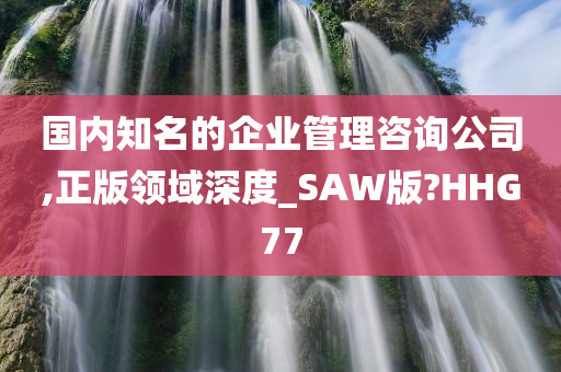 国内知名的企业管理咨询公司,正版领域深度_SAW版?HHG77