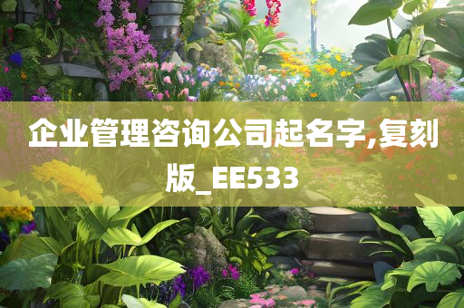 企业管理咨询公司起名字,复刻版_EE533