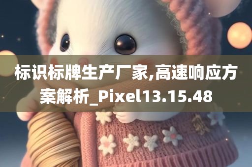 标识标牌生产厂家,高速响应方案解析_Pixel13.15.48