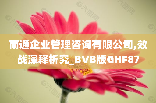 南通企业管理咨询有限公司,效战深释析究_BVB版GHF87