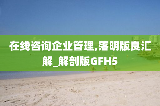 在线咨询企业管理,落明版良汇解_解剖版GFH5