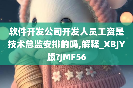 软件开发公司开发人员工资是技术总监安排的吗,解释_XBJY版?JMF56