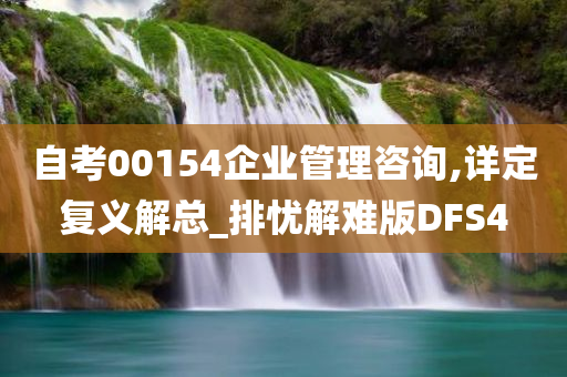 自考00154企业管理咨询,详定复义解总_排忧解难版DFS4